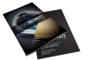 Credit Security Cover Brochure Identity Fraud Protection Brochure Design