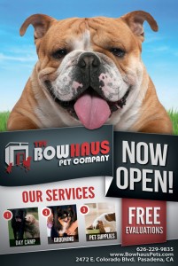 Pet Daycare Company Flyer Design Pet Daycare Company Flyer Design